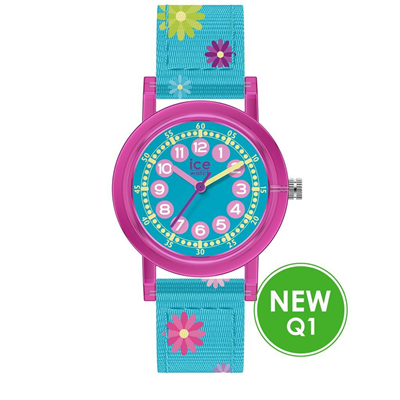 ICE-WATCH
