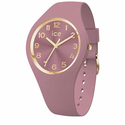 ICE-WATCH
