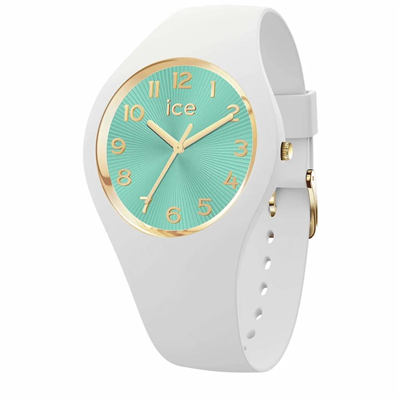ICE-WATCH